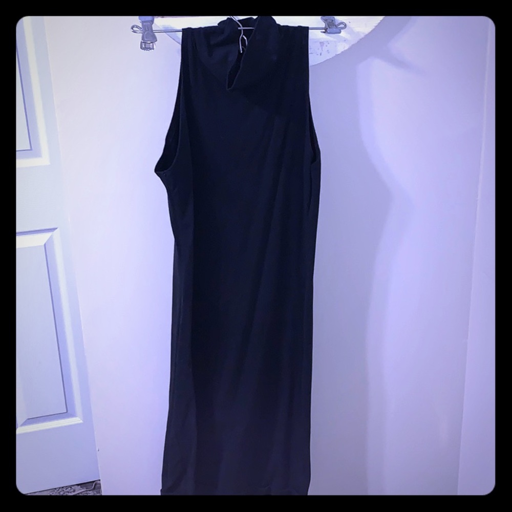 American Apparel Sleeveless Turtleneck Dress